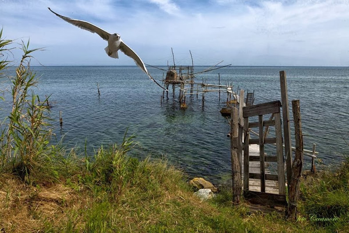 Un gabbiano e un trabocco sulla costa abruzzese